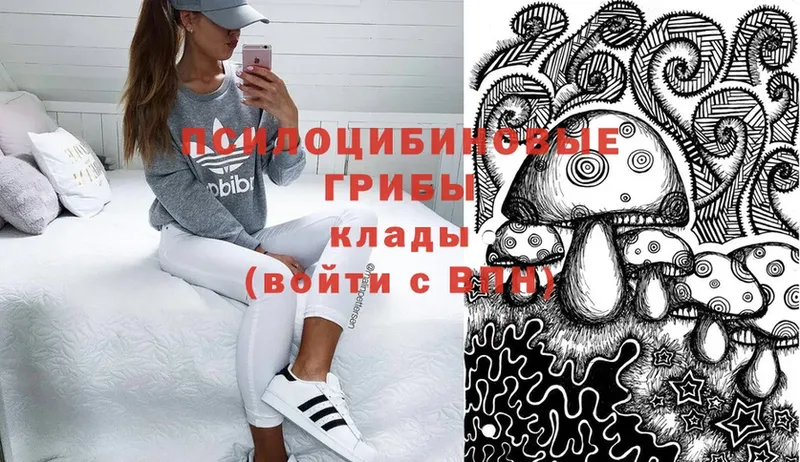 Галлюциногенные грибы Psilocybine cubensis  ОМГ ОМГ зеркало  Вятские Поляны 